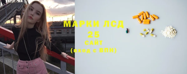 ГАЛЛЮЦИНОГЕННЫЕ ГРИБЫ Баксан