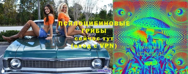 ГАЛЛЮЦИНОГЕННЫЕ ГРИБЫ Баксан